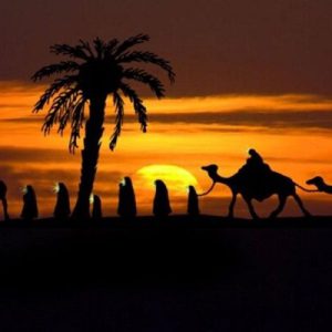 کاروان 9 مرداد – دهه اول ماه صفر