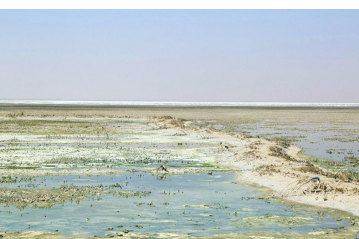 بحر نجف کجاست: محل تفریح و استراحت